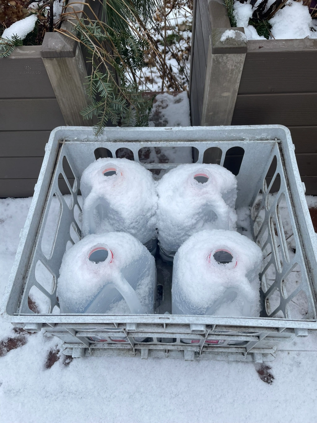 Winter [Seed] Sowing